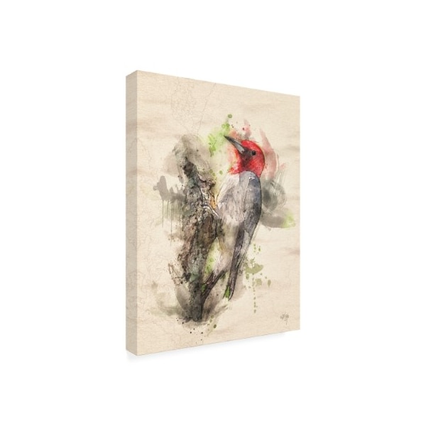 Lois Bryan 'Red Headed Woodpecker' Canvas Art,14x19